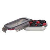 RECTANGLE STAINLESS STEEL CONTAINER_N