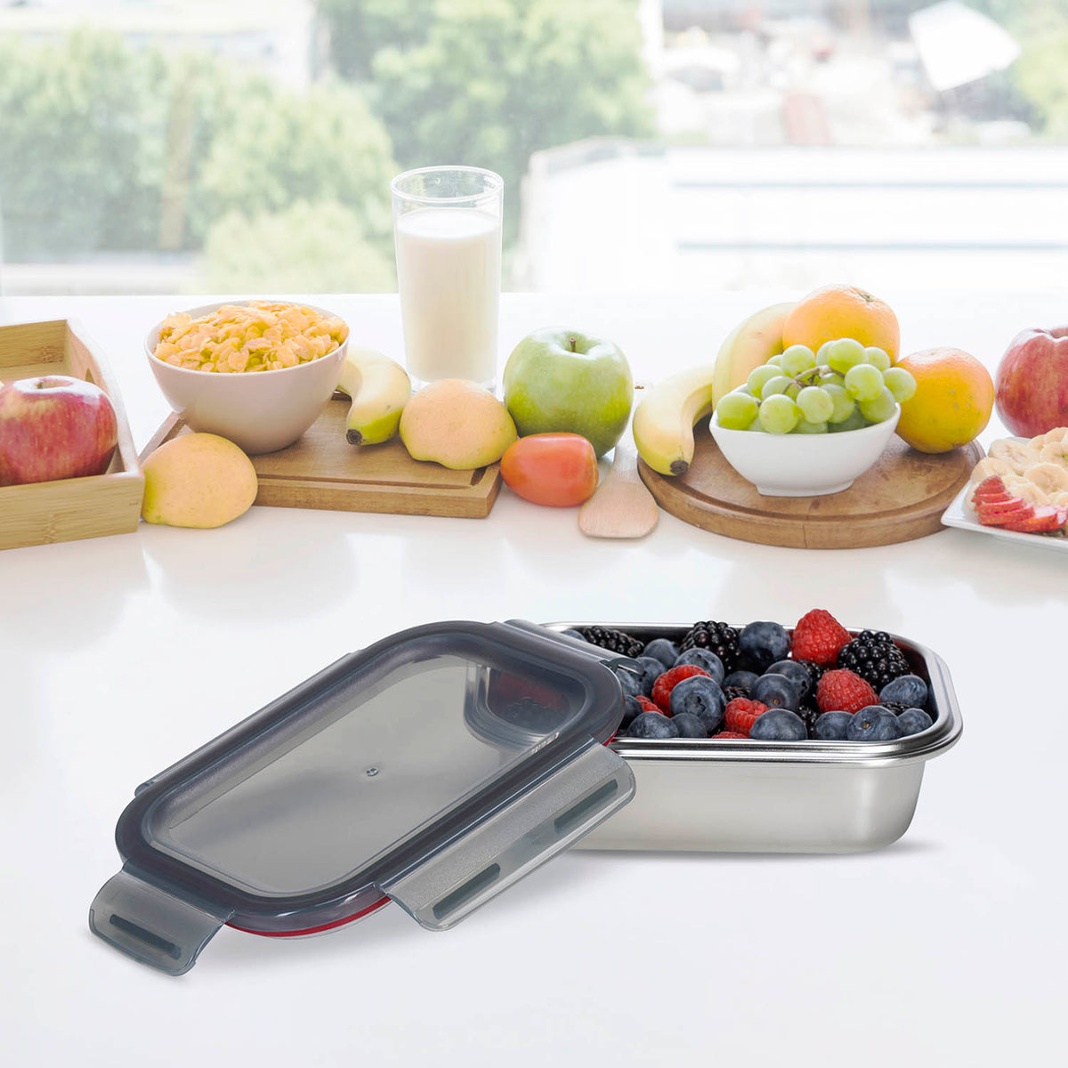 RECTANGLE STAINLESS STEEL CONTAINER_N